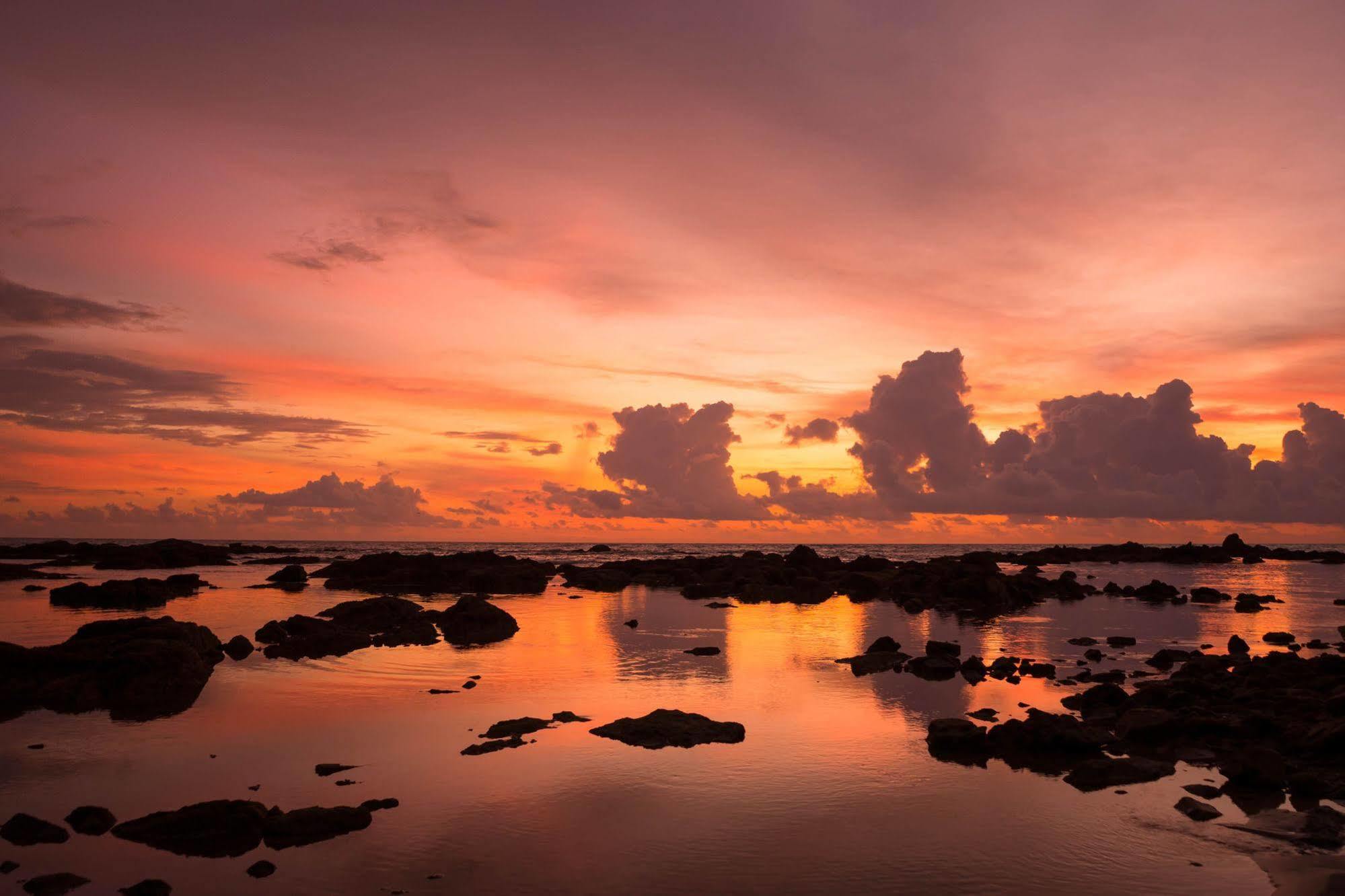 Monkey Dive Hostel Khaolak Καο Λακ Εξωτερικό φωτογραφία